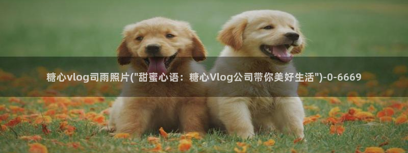 糖心vlog好看的