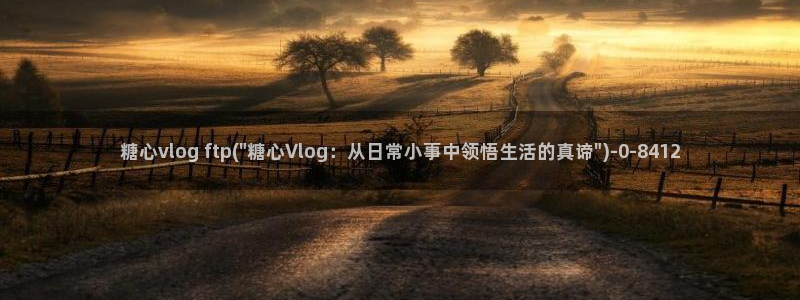 糖心vlog软件