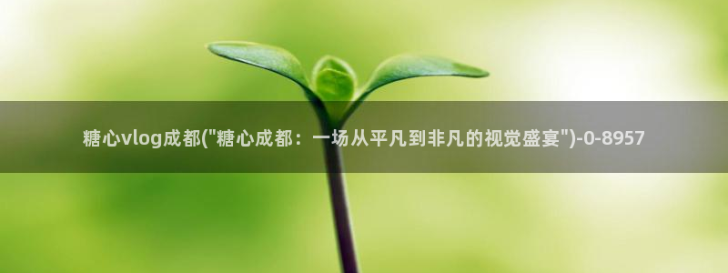 vlog糖心国产：糖心vlog成都(\