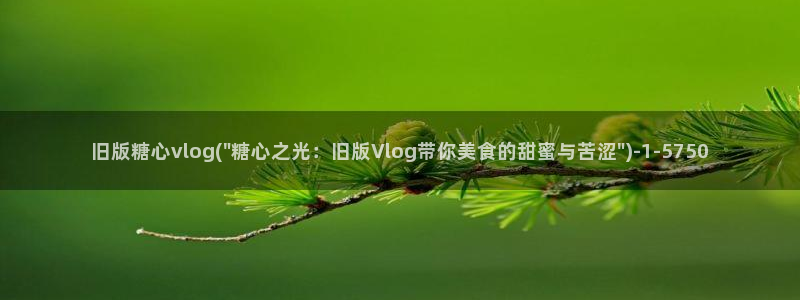 糖心vlog师师：旧版糖心vlog(\